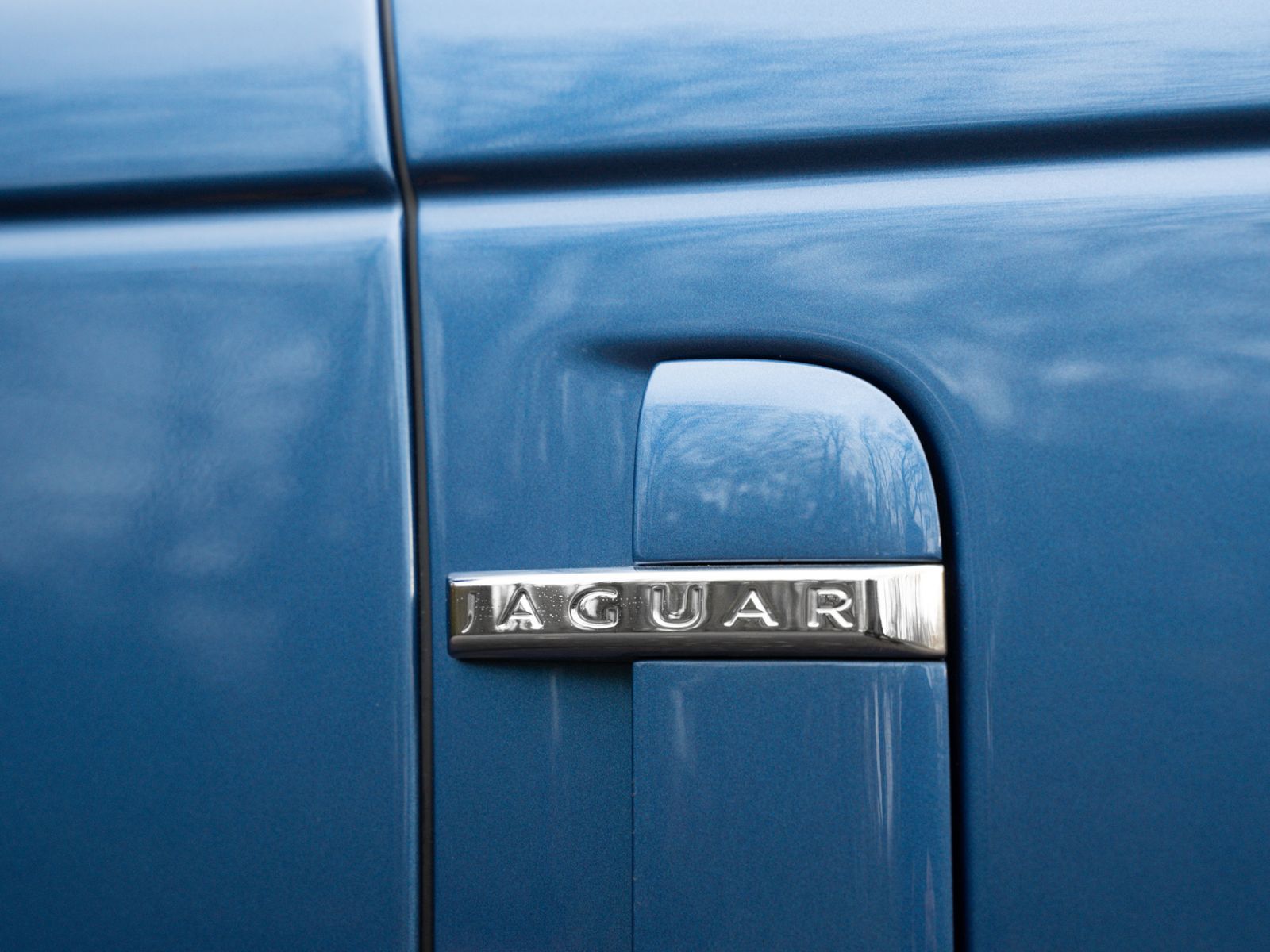Jaguar embleem op zijflank